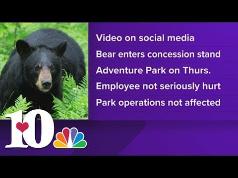 Anakeesta responds to video of black bear making contact with one of its workers