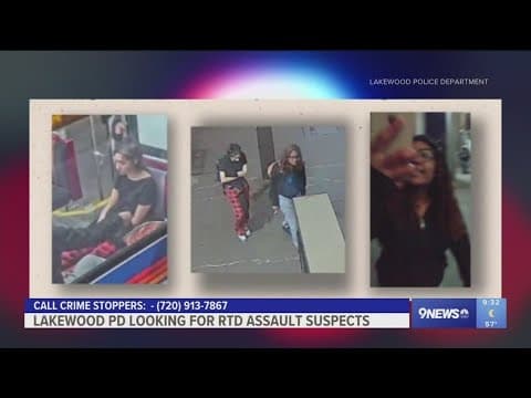 Two suspects attack victim at RTD station