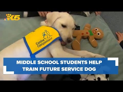 Lakes Stevens Middle School students help train puppy to be a future service animal