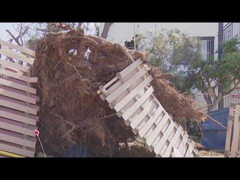 Winter storms wreaking havoc on San Diego; causing multiple downed trees and power lines