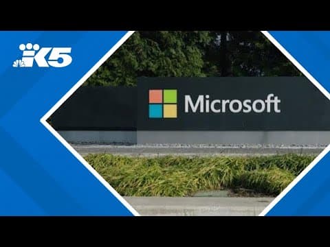 Recipients of Microsoft's 'AI for Good' grant program announced