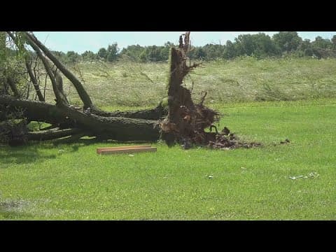 Here's what the National Weather Service had to say regarding the EF-0 tornado near Sweetwater
