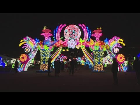 Dazzling display of twinkling lights in Tyson's Corner