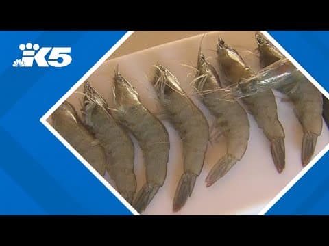 Shrimp recalled for radioactive contamination