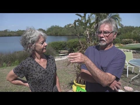 Dunedin mobile home residents frustrated over substantial damage letters from county