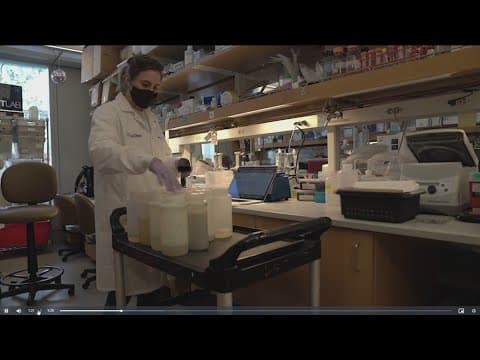 San Diego doctors study how long COVID affects children