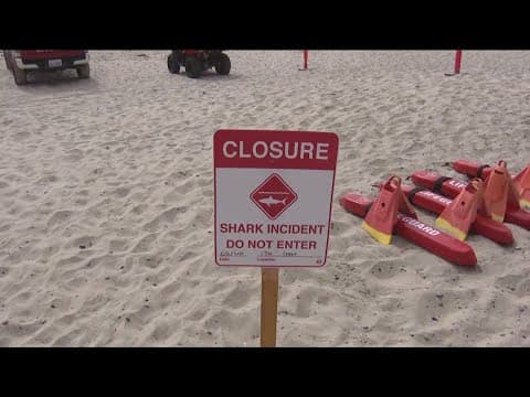 Del Mar closes beaches for swimming and surfing after shark attack