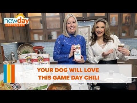 Your dog will love this game day chili! - New Day NW