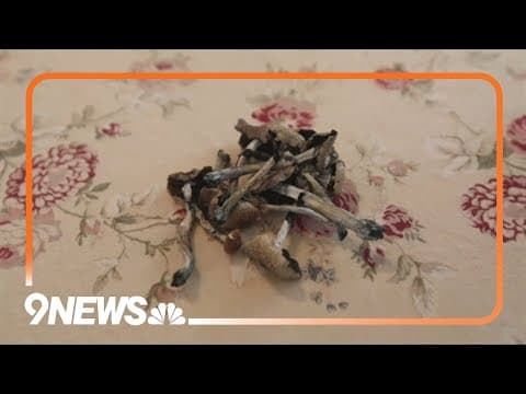 Study offers guidance on how Colorado should regulate, monitor psychedelic use