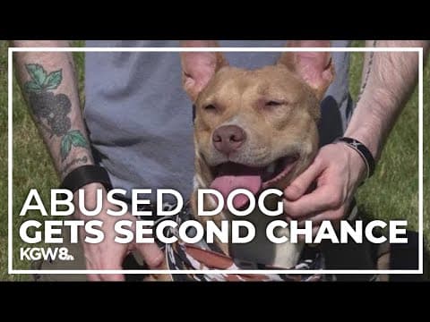 Washington County deputy rescues and adopts abused dog