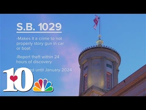 Gun bill in TN Senate delayed until 2024