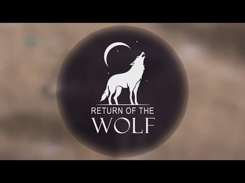 Return of the Wolf