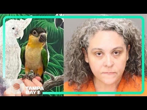 Woman arrested after allegedly stealing $2,400 bird from store in Oldsmar