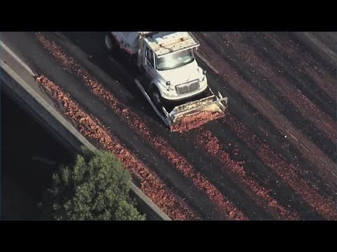 Traffic grinds to a halt after major meat spill on California highway