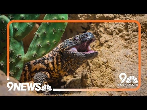 Resumen de noticias: Hombre de Colorado muere tras mordida de monstruo de Gila