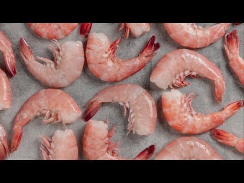 Report: 96% of Tampa Bay restaurants serve imported shrimp while implying otherwise