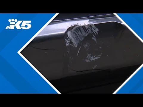 'It could have been way worse': Driver says heavy object thrown into traffic damaged his truck