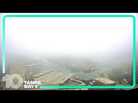 Fog takes over downtown Tampa skies