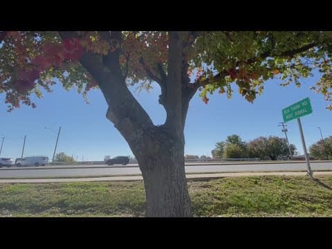 Prince William County adopts first environmental sustainability plan