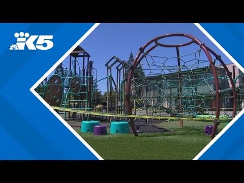 Fire destroys playground at Bellevue school