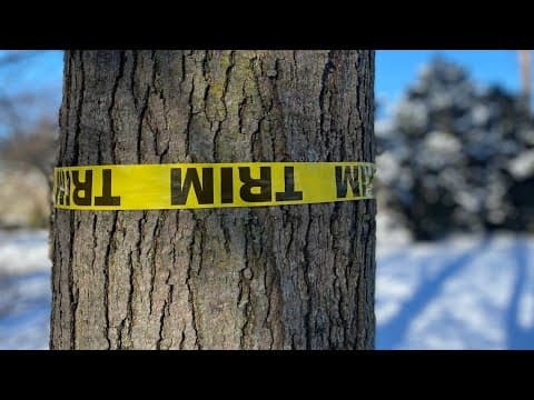 Noblesville property owners upset over Duke Energy project