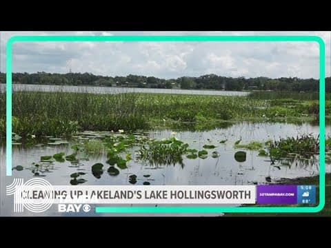 Major project to clean up Lakeland's Lake Hollingsworth aimed to get underway