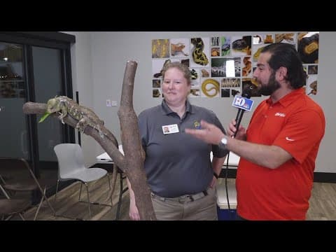 Cool Camps: Zoo Knoxville