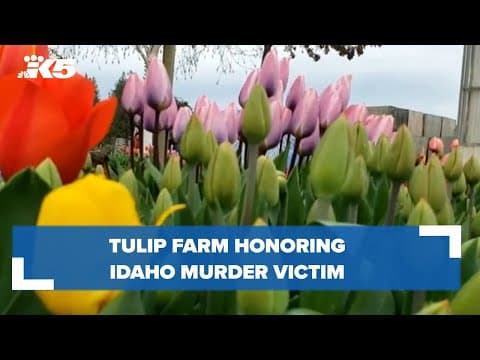 Tulip farm honoring Idaho murder victim