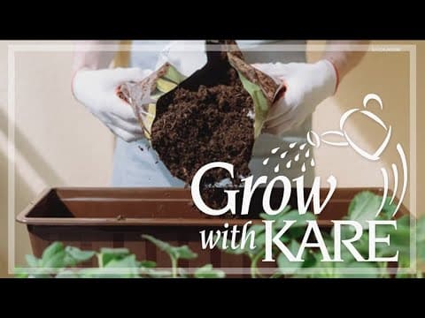 Grow with KARE: Porch Pot Dos and Don'ts