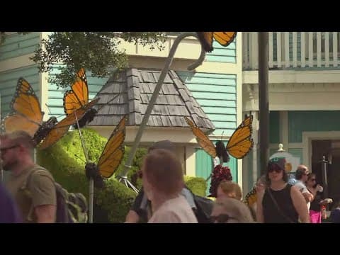 Dollywood's Flower and Food Festival celebrates spring