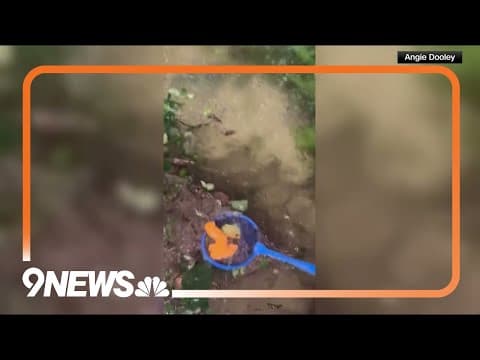 Dramatic Video Shows Father, Daughter Rescued From Hurricane Milton Flooding