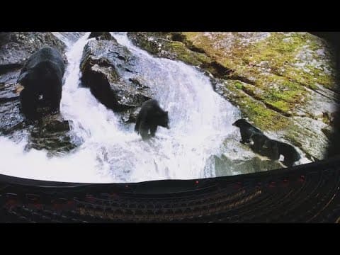 Fort Worth Museum of Science and History offers one of a kind screen