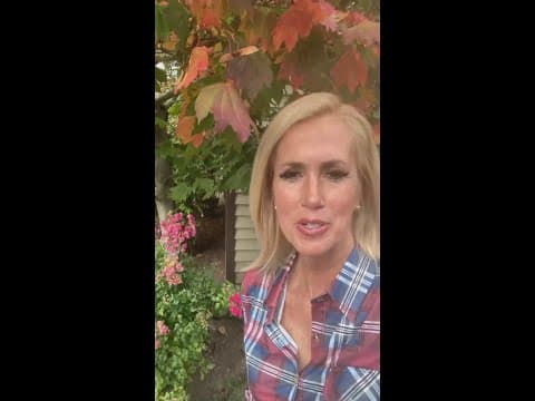 Why leaves droop before a storm