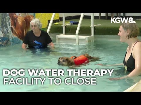 Aquatic therapy spot for dogs set to close