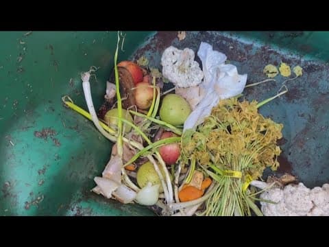 Green or gross? | City delivers 213K green waste bins to San Diego homes