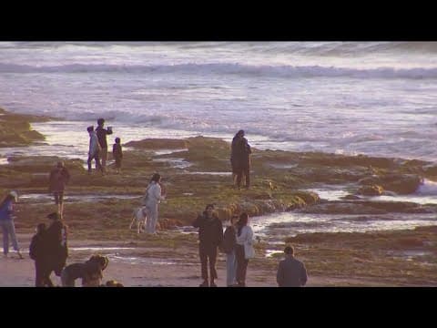 King tides give beachgoers chance to explore tide pools