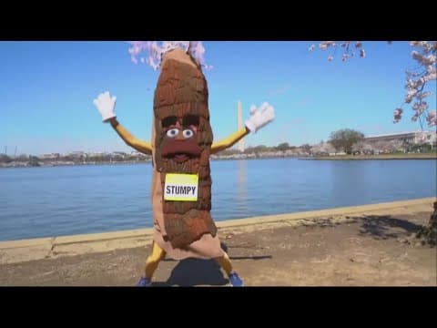 Stumpy and Phil visit the WUSA9 studio for a special announcement