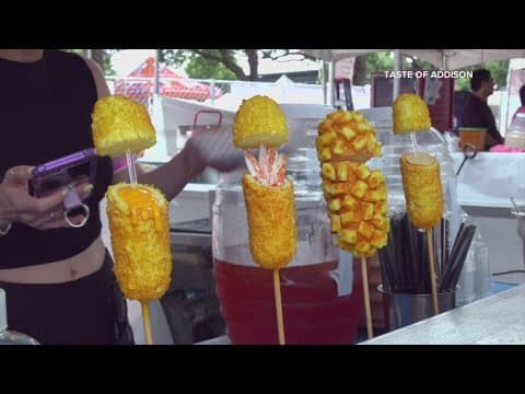 Tickets on sale for Taste Addison festival