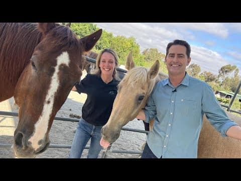 Marine finds healing amid the calming presence of rescued horses