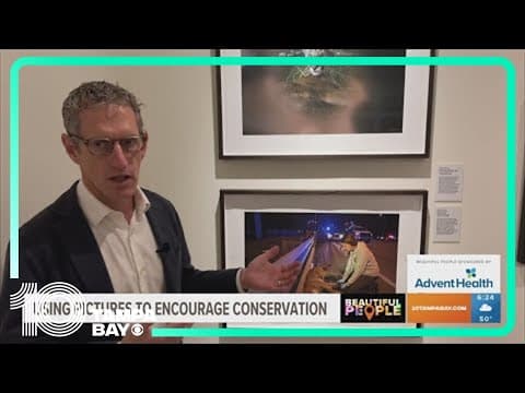 NatGeo photographer shows how vital Florida panthers are to the state's conservation