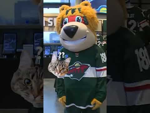 T.C.'s a bear; Crunch is a wolf; Prowl is a lynx ... but what the heck is a Nordy?