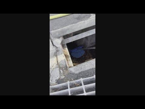 Chula Vista first responders rescue eight ducklings