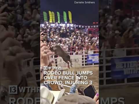 Rodeo bull jumps over fence into crowd, injuring 3 people