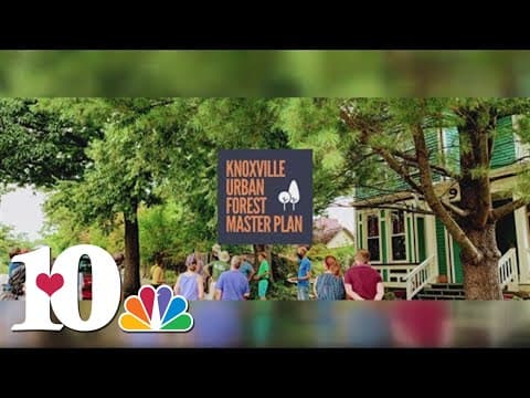 Knoxville unveils new 'urban forest' plan, helping keep city healthy and happy