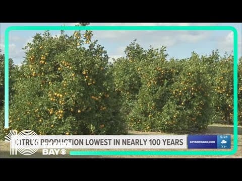 Another tough citrus season ends