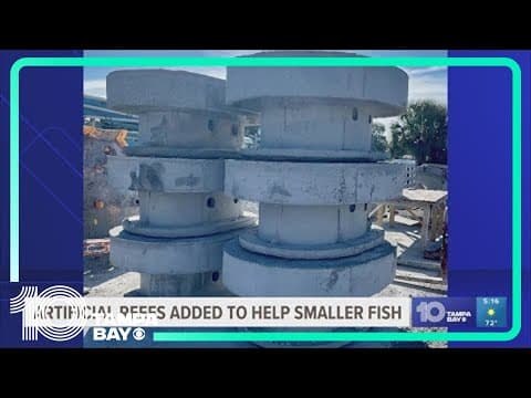 New artificial reefs in Sarasota Bay installed during Earth Day celebration