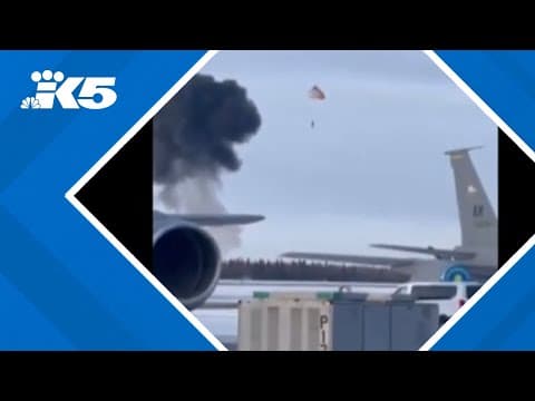 Pilot survives after fighter jet plummets from the sky and explodes on the tarmac