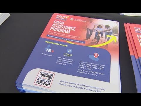 Uplift Harris program is unconstitutional, expert says