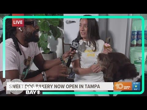 Get all-natural sweet treats for your pup at Sweet Dog Bakery in Tampa