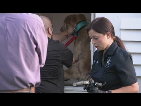 Baytown community left stunned after 6-month-old girl attacked by dog, hospitalized